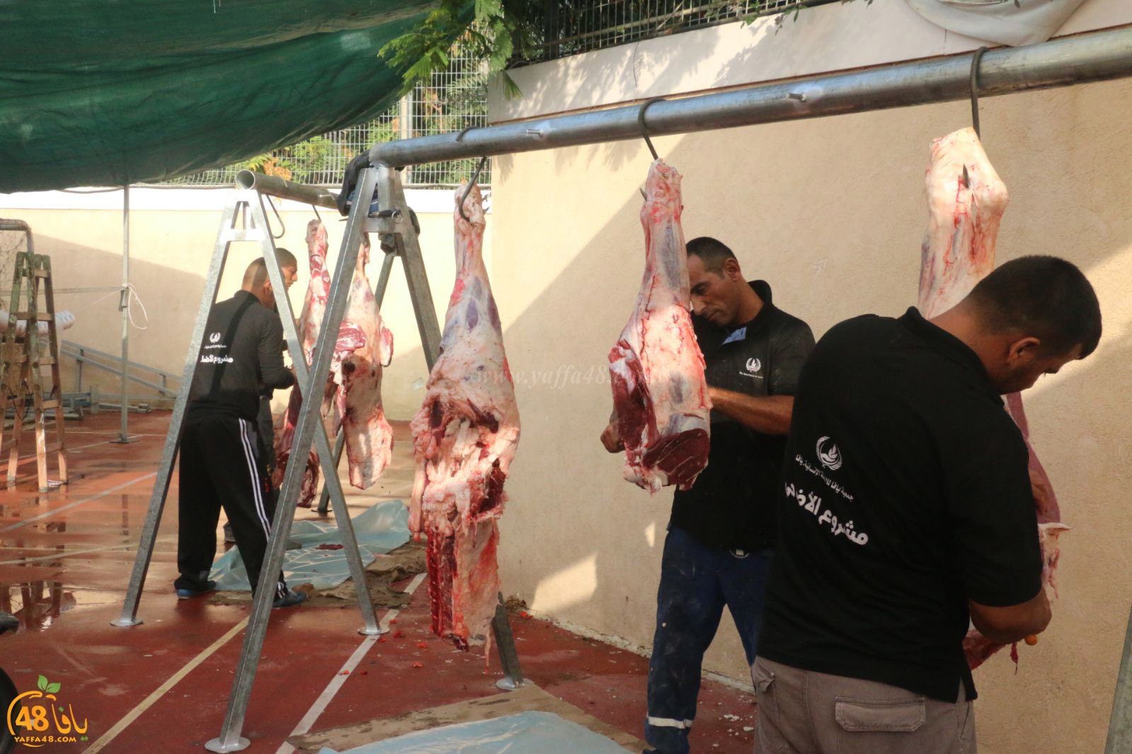 lo7om jam3iya u3 (39).jpg